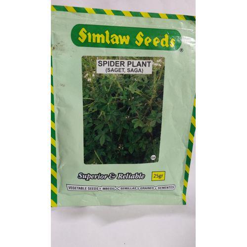 Spider Plant (saga/saget) Farm Rescue Agri-Ventures 